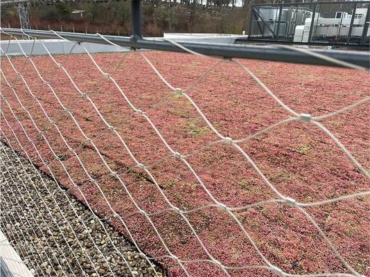 60° जाल खोलने के कोण और भवन सुरक्षा के लिए गैल्वेनाइज्ड फ़िनिश के साथ कोमलता स्टेनलेस स्टील रस्सी वायर मेश