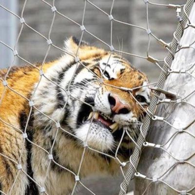 स्टेनलेस स्टील चिड़ियाघर जाल बाड़ उच्च शक्ति तार रस्सी जाल