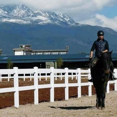 पीवीसी पैनल फार्म बाड़ गार्डन बाड़ ट्रेल नई गोपनीयता सफेद विनाइल 2 रेल बाड़