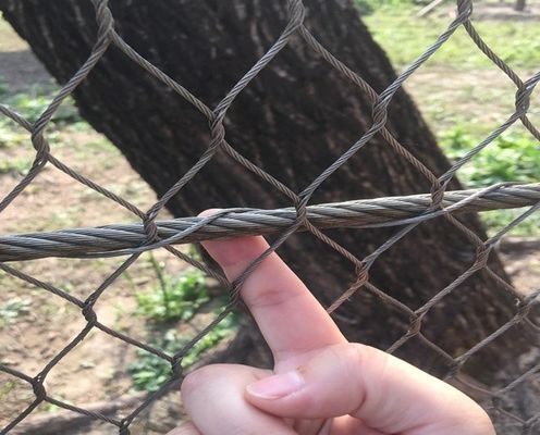 ब्लैक ऑक्सीडेशन स्टेनलेस स्टील वायर रोप मेश 50x50mm
