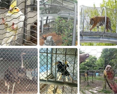 304 स्टेनलेस स्टील केबल मेष चिड़ियाघर एवियरी के लिए ब्लैक ऑक्सीडेशन