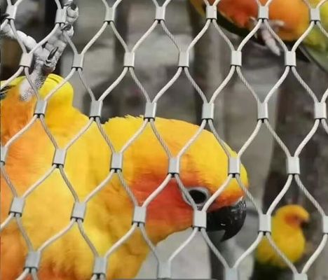 चिड़ियाघर की बाड़ के लिए 2 मिमी केबल रस्सी 50X50 मिमी एपर्चर स्टेनलेस स्टील रस्सी जाल, प्रभाव अवशोषण के साथ, कोई तेज किनारा नहीं और अग्निरोधक