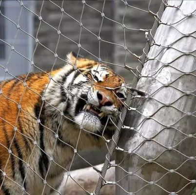 उच्च शक्ति 304 316 स्टेनलेस स्टील तार रस्सी जाली चिड़ियाघर बाड़ के लिए