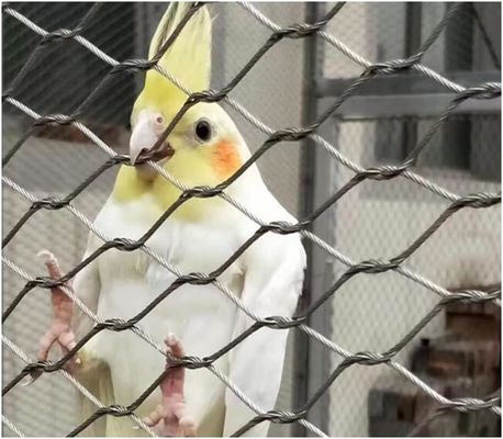 सुरक्षा बाड़ के लिए हाथ बुना हुआ गाँठदार प्रकार स्टेनलेस स्टील रस्सी जाल