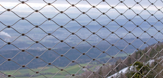 वास्तुशिल्प के लिए स्टेनलेस स्टील केबल रस्सी जाल हीरा लचीला स्क्रीन चिड़ियाघर पशुओं के लिए सुरक्षित