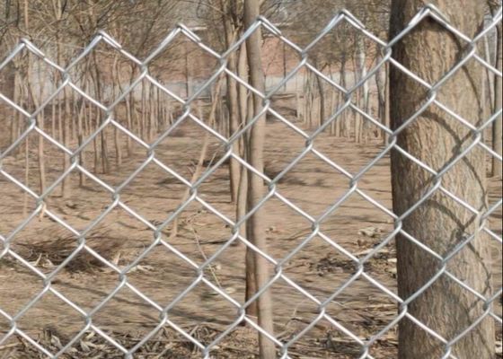 6 फीट X 50 फीट 4.8 मिमी जस्ती चेन लिंक बाड़ डायमंड होल
